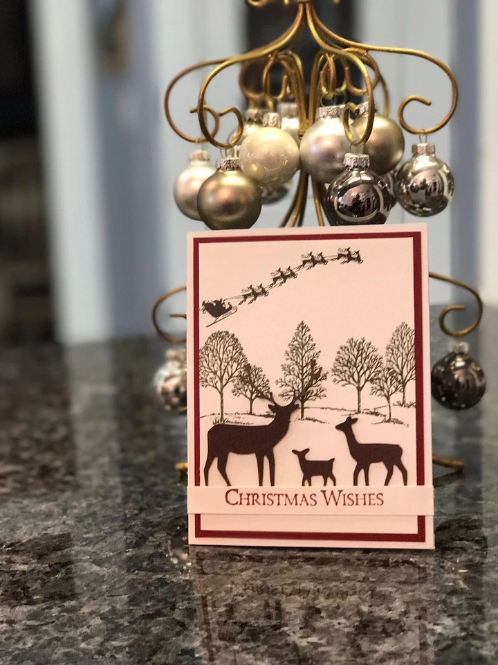 Kit de tarjetas de estampación Navidad Santa trineo ciervo 🦌 Foto 1 de 1