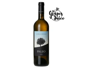 LE MACCHIOLE PALEO BIANCO 2022 VINO BIANCO BOLGHERI TOSCANA IGT - Foto 1 di 1