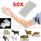 50X Long Arm Disposable Film Glove Veterinary Examination Farm Vet Plastic Glove