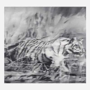 Gerhard Richter Tiger 1965 - Bild 1 von 1