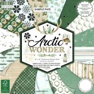 ARCTIC WONDER Dovecraft Premium 8 x 8 Muster Papier Packung 16 Blatt - Bild 1 von 18