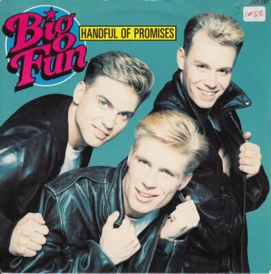 Big Fun - Handful Of Promises ++ used ++ - Immagine 1 di 4