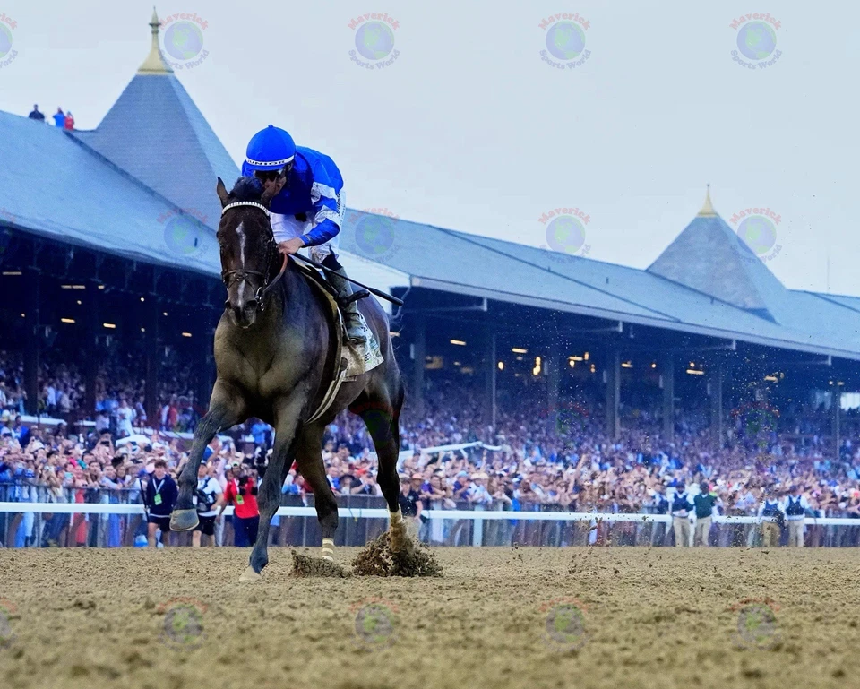 8x10 Photo SOVEREIGNTY 2025 Kentucky Derby Belmont Stakes Champion Alvarado - Image 1 of 1