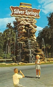 Photo Shoot At Entrance The Rustic Fountain Silver Springs,FL 1960's Postcard - Picture 1 of 2