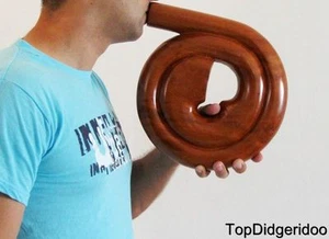 Spiral DIDGERIDOO + Bag Travel Compact Snail Shell Hand Carved Art Mahogany Wood - Picture 1 of 12