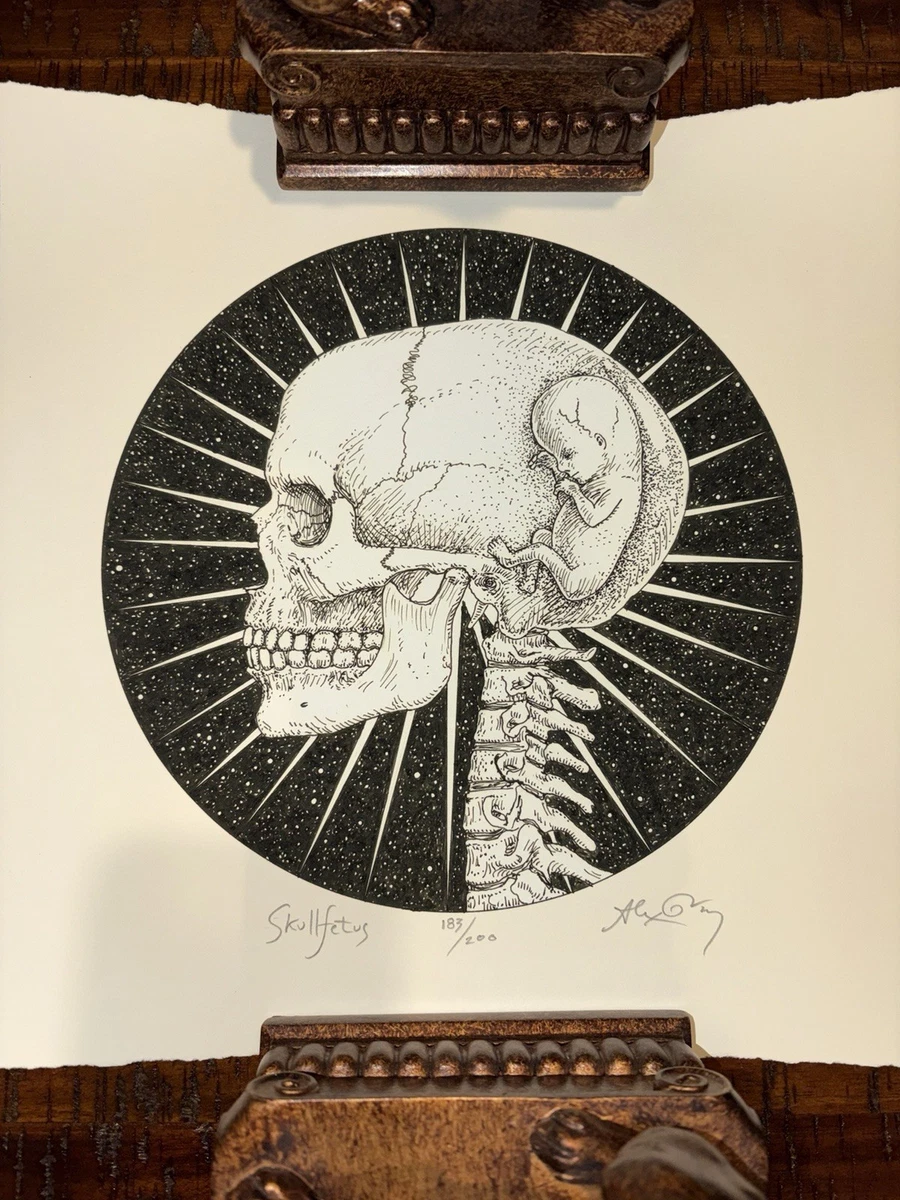 alex grey products for sale | eBay