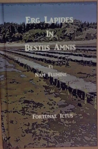 Erg Lapides in Bestiis Amnis : Et Nam Flumine by Trevor Welford (2008) - Imagen 1 de 5