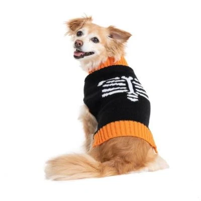Suéter esqueleto perro Halloween amigos para siempre Foto 1 de 4