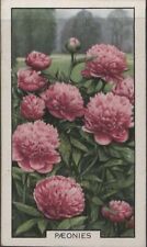 (F116-12) 1920 Great Britain Cigarette card (Park Drive Paeonies flowers (L) 