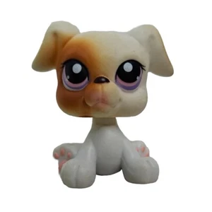 BOXER DOG #84 Authentic Littlest Pet Shop Hasbro LPS - Picture 1 of 8