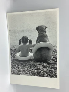 Postcard Animals Dog child swimming belts ocean seaside Netherlands 6x4 L302 - Picture 1 of 2