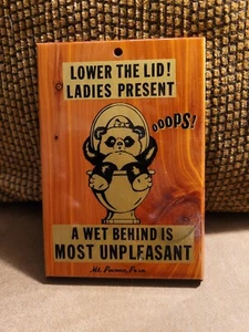 5x7 Vintage *Ladies Present* Souvenir Wood Plaque Wall Hanging Mt. Pocono, PA - Picture 1 of 4