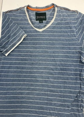 Camiseta Gramercy Foundry Para Hombre Grande Azul Rayas 100% Algodón Manga Corta Foto 1 de 4