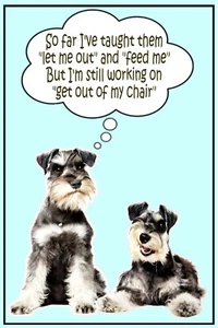 Miniature Schnauzer Gift. MY CHAIR flexible Fridge Magnet - size 16cms x 10 cms - Picture 1 of 1