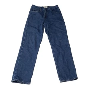 LL BEAN plaid Flannel Lined Blue Jeans 30x29 Classic Fit - Picture 1 of 8