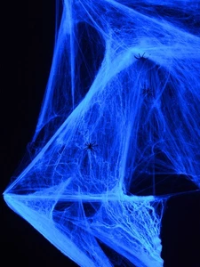 500g Packung Schwarzlicht Halloween Spinngewebe Weiß mit 25 Spinnen Party - Bild 1 von 6