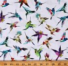 Tissu coton colibris oiseaux arc-en-ciel imprimé dans la cour (D677.75)