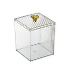 Clear Cotton Swab Box Lipstick Box PET Q-tip Makeup Storage Container Square