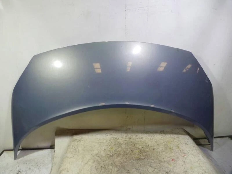 cappuccio per RENAULT SCENIC II GRAND CONFORT DYNAMIQUE 2003 1844444 Foto 1 de 4