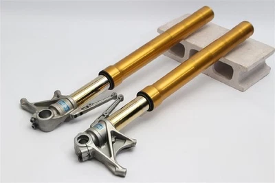 Horquilla delantera DUCATI Monster 1200S 2014 Öhlins ZDMM603JAEB004 USADA Foto 1 de 4