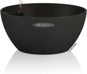 Cubeto Color 30 All-In-One Bowl Shape Planter, Black - Picture 1 of 8