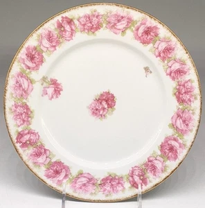 Limoges France HAVILAND - 9 7/8" - DROP ROSE - DINNER PLATE - SUPER NICE! - Picture 1 of 7