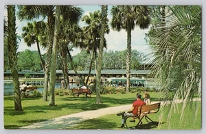 Tarjeta postal color Silver Springs FL fondo de vidrio botes escena parque Florida - Imagen 1 de 2