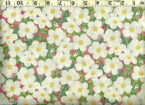 Windham Fabrics ~ Wild Roses Floral on Melon ~ 100% Cotton Sew Quilt Fabric BTY - Picture 1 of 1