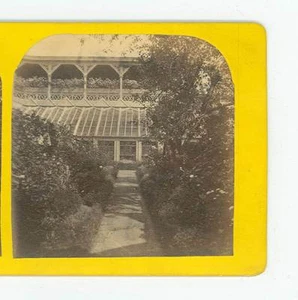 Wsa9084 A H Folsom view Greenhouse Boston Massachusetts D - Picture 1 of 3