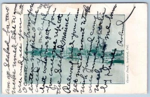 ANTIGUA POSTAL OYSTER DECK SEAFORD DELAWARE anterior a 1907 - Imagen 1 de 2