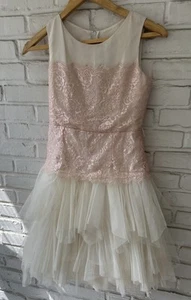 Luxury CHANTILLY Place Dress breathtaking Lace Drop Waist Tutu Ivory-Pink Sz 12 - Picture 1 of 18