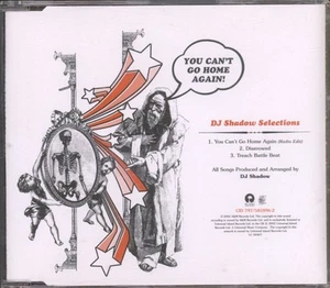 DJ Shadow Vous Ne Pouvez Pas Rentrer Chez Vous ! CD UK Island 2002 Single CID797 - Bild 1 von 2