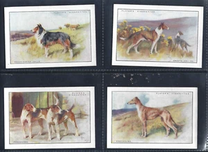 PLAYER - DOGS (SCENIC, EXTRA LARGE) - FULL SET OF 12 CARDS - Picture 1 of 6