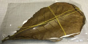 10 Mixed 4-6" Sundried Catappa / Indian Almond Leaves FREE SHIPPING - Ketapang - Picture 1 of 1