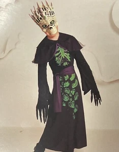 Light Up Sorcerer Costume. Size 4-7. New. - Picture 1 of 8
