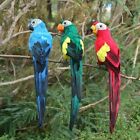 Kreatywny model ptaka figurka pianka papuga do ogrodu domowego akcesoria dekoracyjne