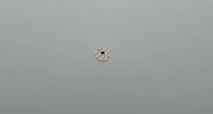 Mutter für Kalenderrad für ROLEX 3035, 5035, calendar wheel nut, part 5093, NOS - Picture 1 of 3