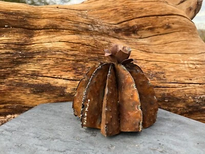 MINI barril de metal rústico artesanal cactus patio de metal arte barril de metal cactus Foto 1 de 4