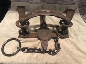 Image result for images of bear traps