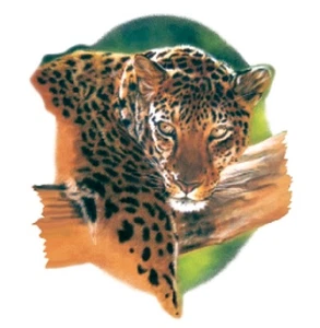 Leopard - Gepard - Jaguar Shirt, Raubkatzen auf T-Shirt, Small - 5X, Jagdkatzen - Bild 1 von 1