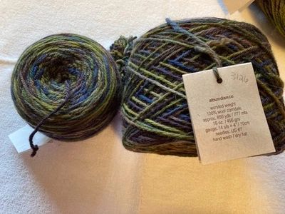 Briar Rose Abundance Yarn - Wool, Heavy Worsted/Bulky  Hand-dyed- 1700 yds - Image 1 of 4