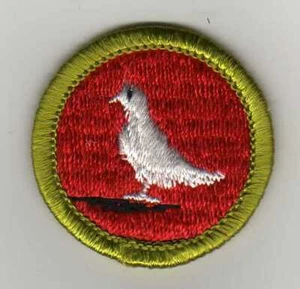 Distintivo al merito dell'allevamento dei piccioni, retro in tessuto tipo G (1961-71), come nuovo! - Foto 1 di 1