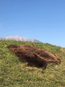 ECHTER NATUR ÖKO SCHAFFELLTEPPICH SCHAFFELL TEPPICH LAMMFELL 180 X 110 CM BRAUN - Bild 1 von 2