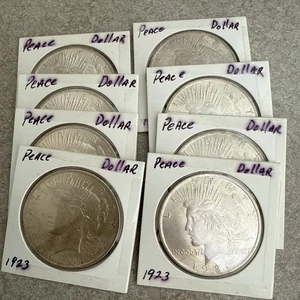 1921 SILBER PEACE DOLLAR HOCHRELIEF 8er Set SEHR GERINGE AUFLAGE - Bild 1 von 23