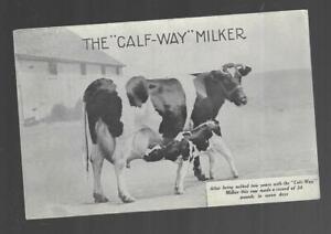 Advertising Trade Card CALF-WAY MILKER CO. CHICAGO IL Cow Milking Dairy Farming