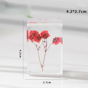 Baby's Breath Dried Flower Clear Resin Botany Herb Science Education Specimen  - Picture 1 of 1