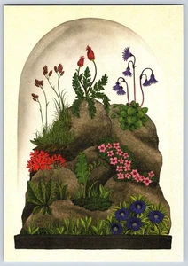 Postcard Kew Botanicum Alpine Environment - Picture 1 of 3