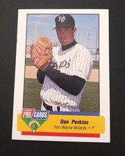 1994 Fort Wayne Wizards Fleer/ProCards #2009 Dan Perkins
