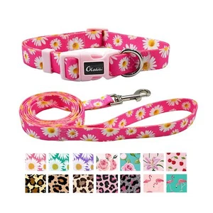 Dog Collar and Leash Set Cute Pink Daisy Pattern Polyester Material 5ft Leash... - Picture 1 of 9