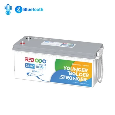 Redodo 24V 100Ah LiFePO4 Bluetooth Lithium Batterie Mit Low Temp Schutz 100A BMS